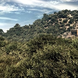 Haus 14