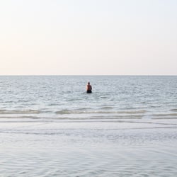 06.09.2012 „Just listening.“ Key Largo, Florida, USA