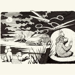Illustration to „Extension du domaine de la lutte“ (M. Houellebeqc)