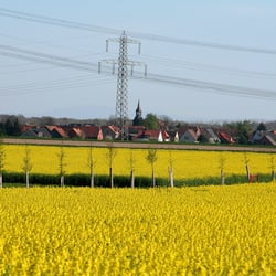 Schmedenstedt 2