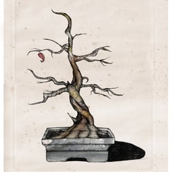 Fukushima