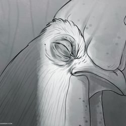 Storyboard Rooster Sleeping