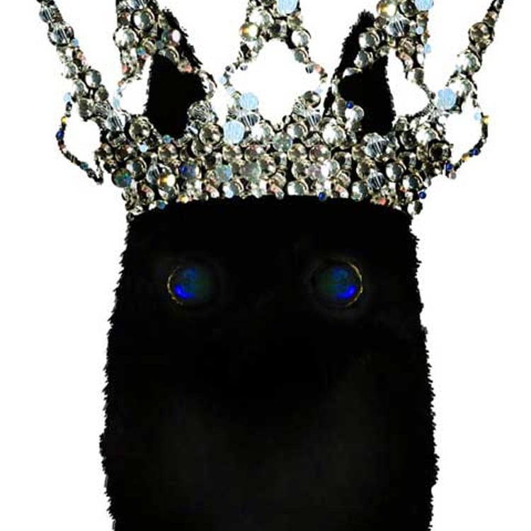 Sebastian Blinde