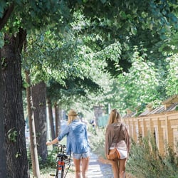 Summer Girls
