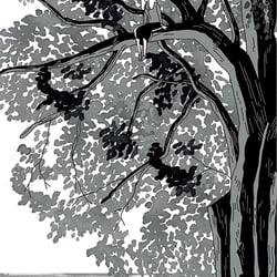 Der Baum denkt_12