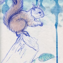 Illustration Julia Bittruf