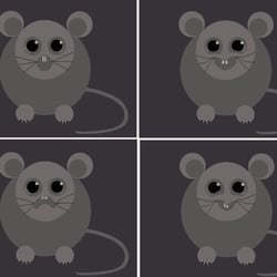 Mäuse