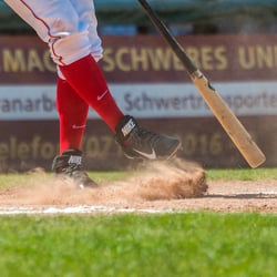 Stuttgart Reds – 1. Baseball Bundesliga