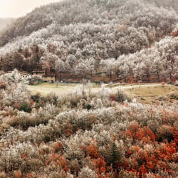 Toskana 1