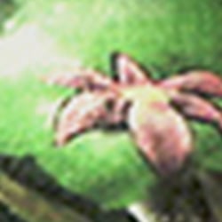 Monkey Island, Flur-Gestaltung