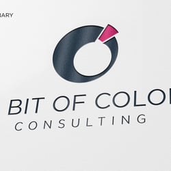 Auzüge aus dem Brandbook von A BIT OF COLOR consulting