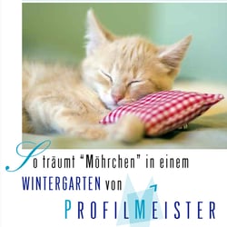 Anzeige – Profilmeister