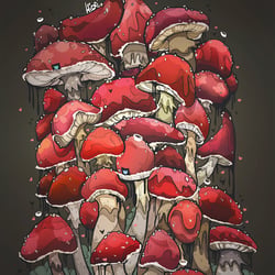 Poster_Pilze