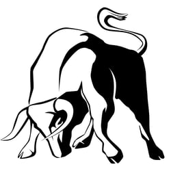 Stier – Teil des Corporate Designs