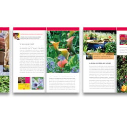 Frühlings-Special für die Buchhandlung Potthoff, Buchwerbung der Neun GmbH