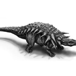 „Edmontonia“