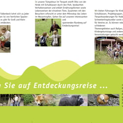 Flyer Falkenbeck Innen