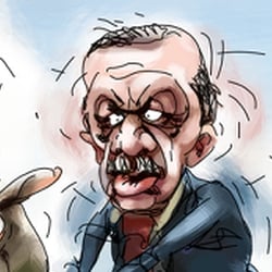 20201028 Errdogan-Ziegen Stefan Fichtel