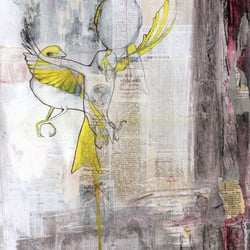 bird