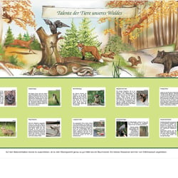 Talenter der Tiere unseres Waldes