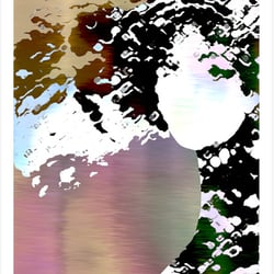 „LADY SILEX-1“