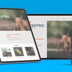 Entwurf 2 Web Design