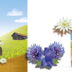 Arla Bergkäse _ Designkis