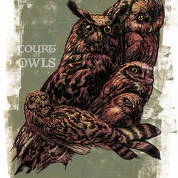 Court of Owls