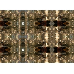 Glas1