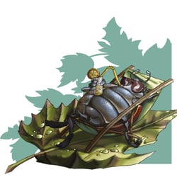 Marienkäfer 03