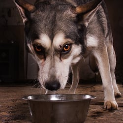 mine