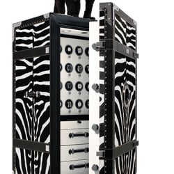 Zebra meets Panther