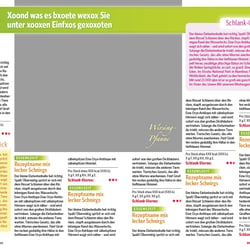 Konzept/Musterseiten Bild der Frau (2008)