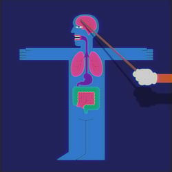 Animation „Vitaforte 200“