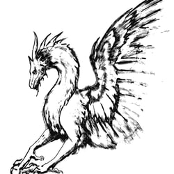 Vogeldrache