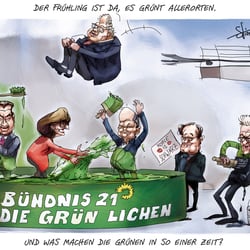 20210215 Greenwashing Stefan Fichtel