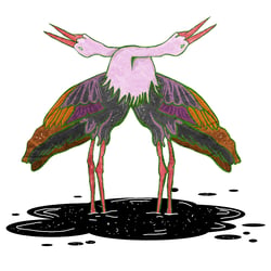 storch