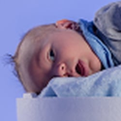 Babies in Szene setzen