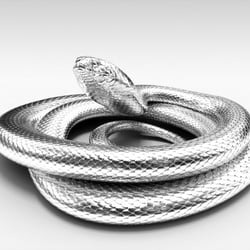 Initial snake test