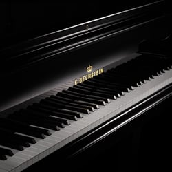 C. Bechstein