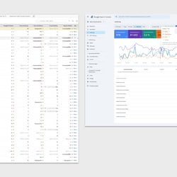 Google-Rankings – Top-Platzierungen für relevante Suchbegriffe