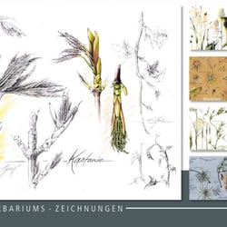 1. HERBARIUM