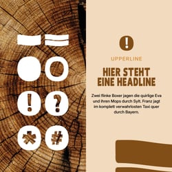 Icons & Schriften | Naturcamping Ellbogensee