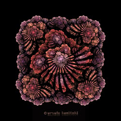 Apophysis – own flame