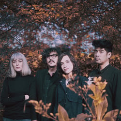 Ladytron