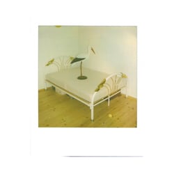 Polaroid