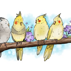 Emil, Popcorn, Cokkie und Kikki