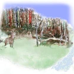 Hirsch