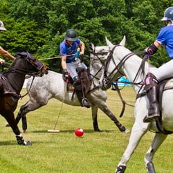 polo bs kl