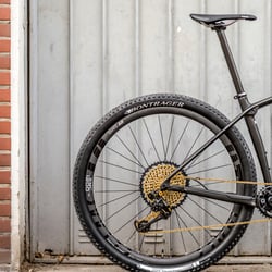 Trek Procaliber Project One